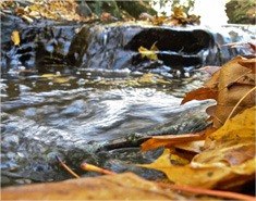手机号炸弹防护业务